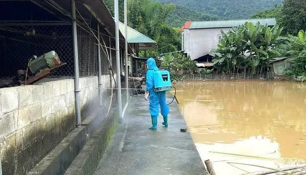 Bộ Y tế hướng dẫn phòng, chống bệnh thường gặp trong mưa lũ, ngập lụt