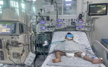 Bé trai 4 tuổi bị ong vò vẽ đốt 35 mũi, suy đa cơ quan