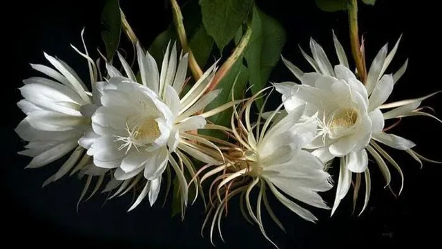 Tiêu đề: Hành trình đến bên con - Tập 1: Khi nguyên nhân không có tên