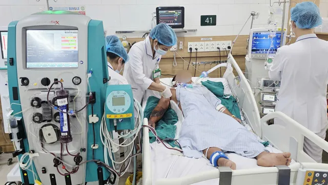 Tử vong vì hoại tử do xử lý sai sau khi bị rắn hổ mang cắn