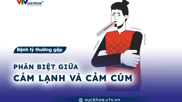 Phân biệt giữa cảm lạnh và cảm cúm