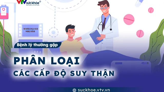 Phân loại các cấp độ suy thận