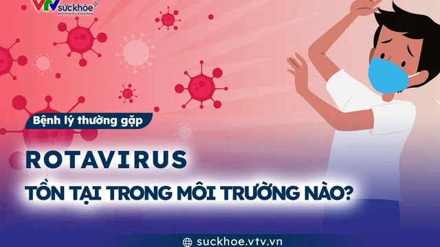 Rotavirus tồn tại trong môi trường nào?
