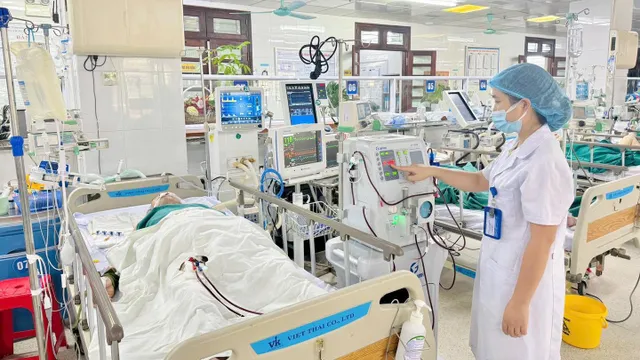 Cấp cứu thành công bệnh nhân bị ong vò vẽ đốt hơn 100 vết, suy đa tạng nguy kịch