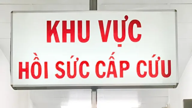 Cứu sống người bệnh xơ gan, viêm bể thận nguy kịch