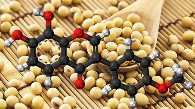 Mầm đậu nành và ung thư: Sự thật khoa học hay tin đồn thất thiệt?