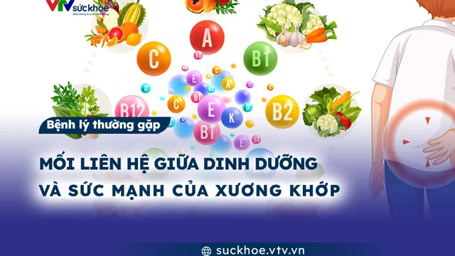 Mối liên hệ giữa dinh dưỡng và sức mạnh của xương khớp