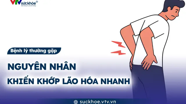 Nguyên nhân khiến khớp lão hóa nhanh