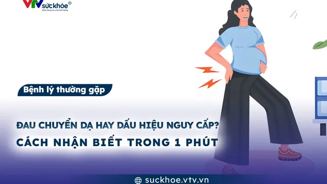 Đau chuyển dạ hay dấu hiệu nguy cấp? Cách nhận biết trong 1 phút