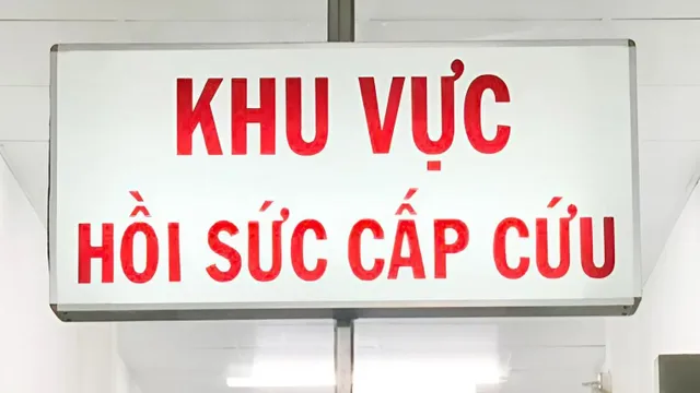 Suy gan cấp do ngộ độc mật cá trắm
