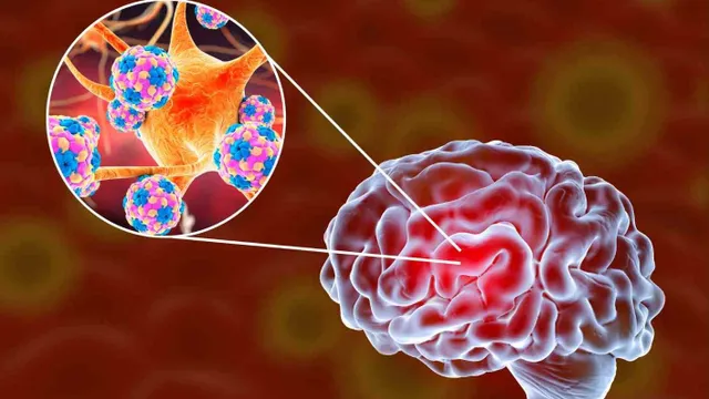 Phú Thọ tăng cường phòng, chống bệnh viêm não Nhật Bản