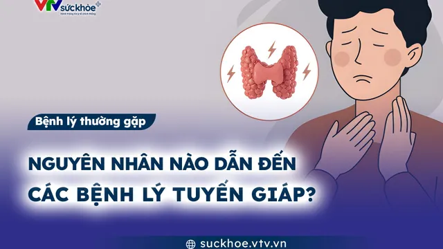 Nguyên nhân nào dẫn đến các bệnh lý tuyến giáp?