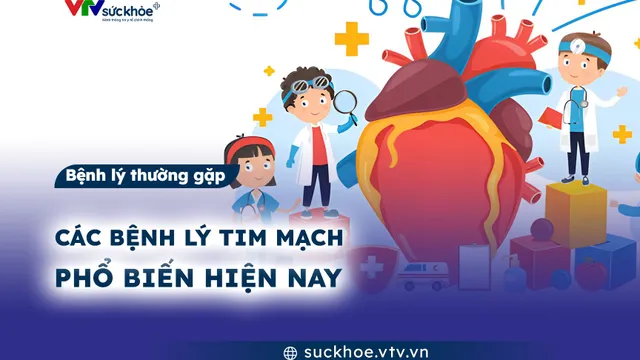 Các bệnh lý tim mạch phổ biến hiện nay