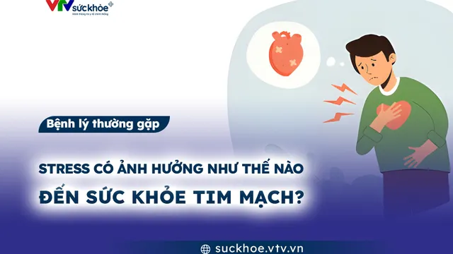 Stress có ảnh hưởng như thế nào đến sức khỏe tim mạch?