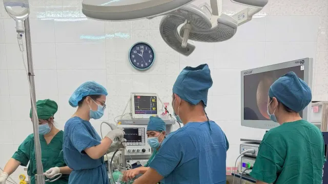 Đau tai âm ỉ nhiều ngày, bé gái 7 tuổi được phát hiện có ve chó sát màng nhĩ