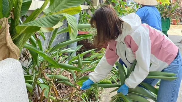 Chủ động phòng, chống sốt xuất huyết dịp Tết Nguyên đán