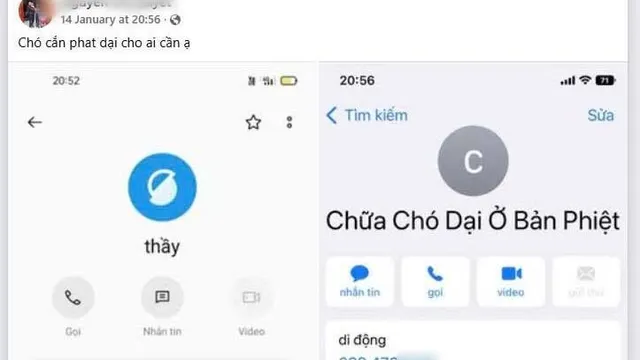 Cảnh báo: Không chữa bệnh dại bằng thuốc nam