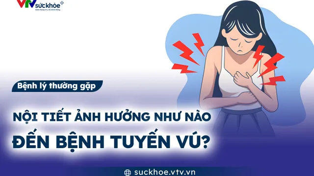 Nội tiết ảnh hưởng như nào đến bệnh tuyến vú?