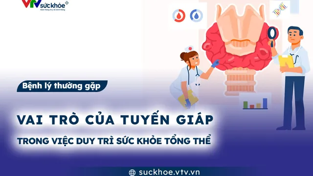 Vai trò của tuyến giáp trong việc duy trì sức khỏe tổng thể