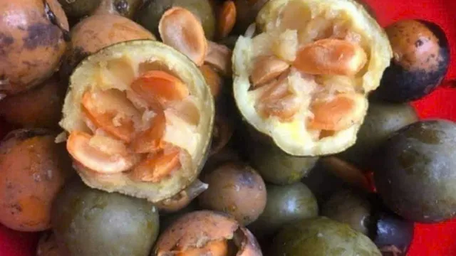 Cảnh báo ngộ độc sau khi uống bột hạt sang chữa đau dạ dày