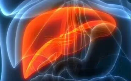 Cảnh báo tổn thương gan sau rượu bia