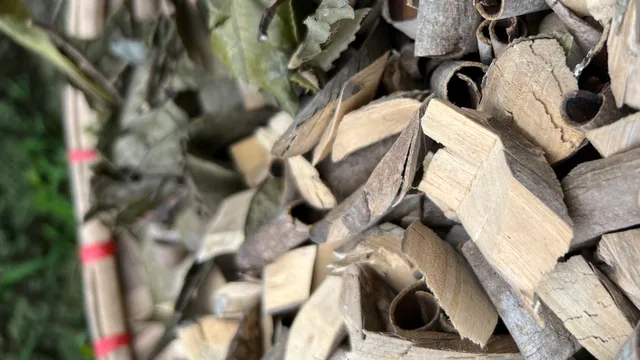 Siết quản lý dược liệu, thuốc cổ truyền