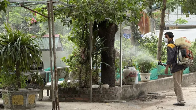 Hà Nội chủ động phòng sốt xuất huyết từ sớm