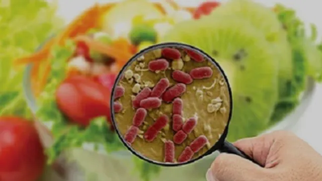 Bộ Y tế: Khẩn trương điều tra vụ nghi ngộ độc sau khi ăn quả lạ ở Lai Châu