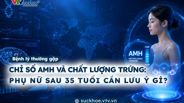 Chỉ số AMH và chất lượng trứng - Phụ nữ sau 35 tuổi cần lưu ý gì?