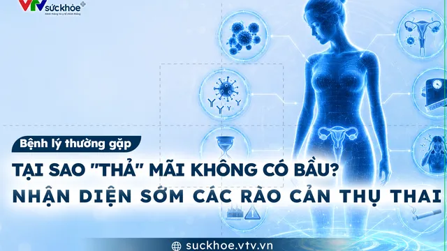 Tại sao "thả" mãi không có bầu? Nhận diện sớm các rào cản thụ thai