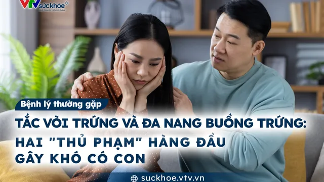 Tắc vòi trứng và Đa nang buồng trứng: Hai "thủ phạm" hàng đầu gây khó có con