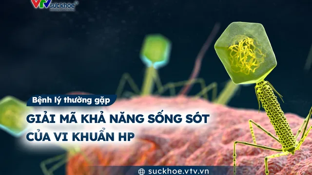 Giải mã "khả năng sống sót" của vi khuẩn HP