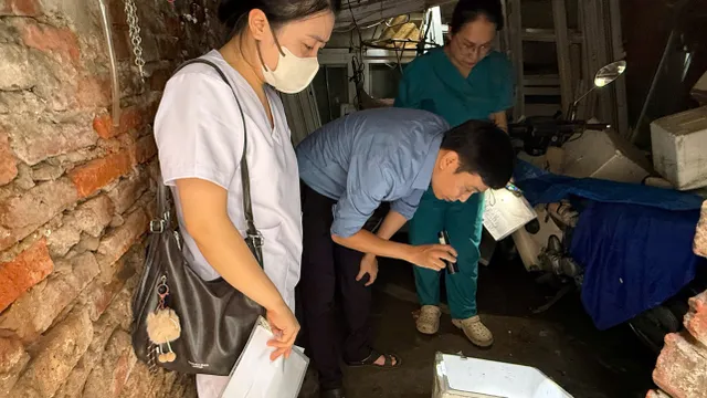 Hà Nội: Thêm 12 ổ dịch sốt xuất huyết phát sinh trong tuần qua