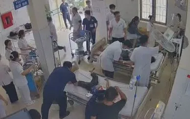 Gần 10 người nhập viện sau khi bị ong đốt ở Nghệ An