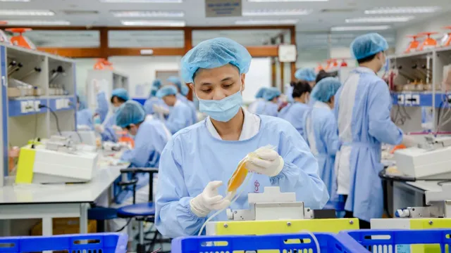 Tiếp nhận tiểu cầu gạn tách dự kiến lập kỷ lục trong năm 2026