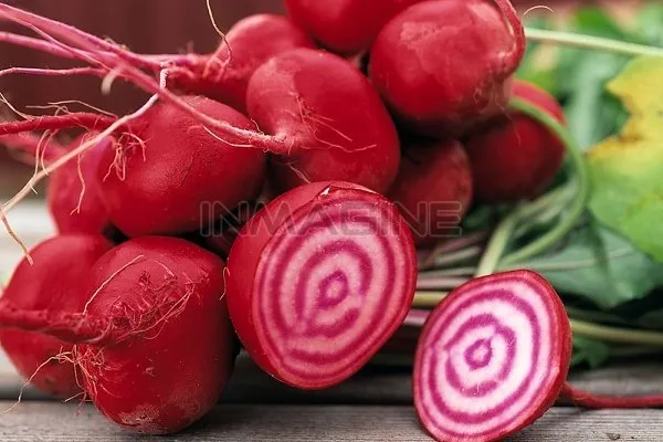 Lý do nên uống nước ép củ cải đường