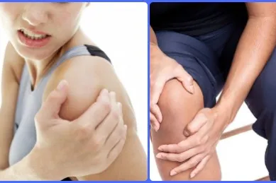 Bỏ túi cách dùng lá lốt giảm đau và viêm khớp Bỏ túi cách dùng lá lốt giảm đau và viêm khớp