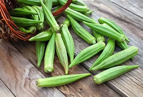 Quả đậu bắp trị tiểu đường được không