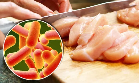 Nhiễm salmonella từ thực phẩm, cách phòng chống | VTV.VN