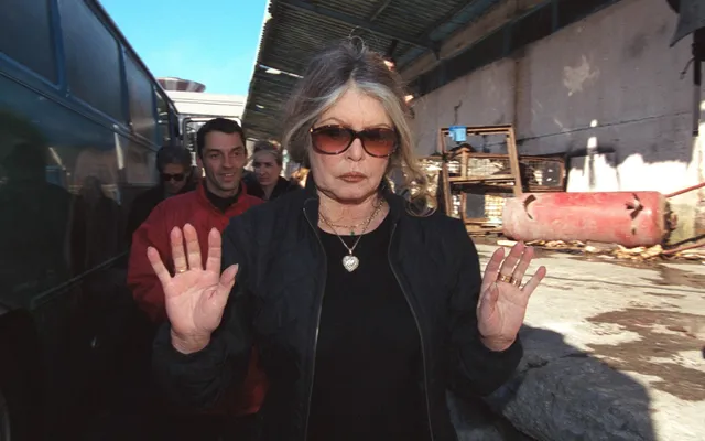 Huyền thoại điện ảnh Pháp Brigitte Bardot bị phạt lần thứ 6 vì "Kích động  thù hận chủng tộc" | VTV.VN