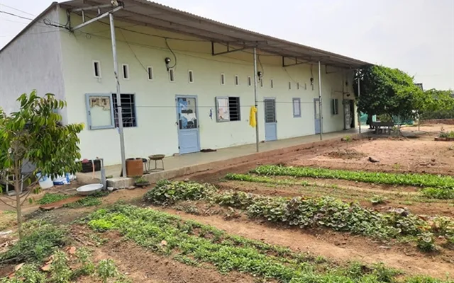 A man builds houses to help migrant workers