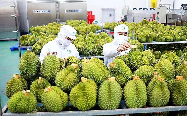 Tái định nghĩa logistics nông sản: Khi đường sắt kết nối nông thôn với đô thị lớn