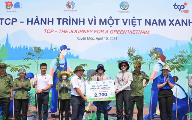 Chiến lược trồng cây xanh cho đô thị hóa Bà Rịa – Vũng Tàu - Giải pháp cho một thành phố xanh và bền vững