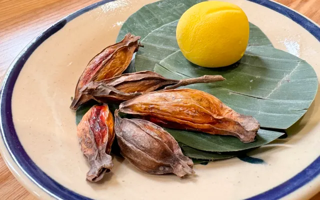 Quả dành dành chữa bệnh gì? Quả dành dành chữa bệnh gì?