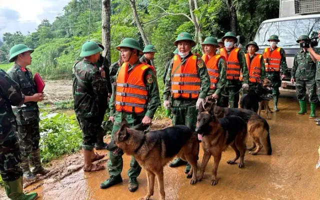 Lào Cai: Chó nghiệp vụ tham gia tìm kiếm nạn nhân ở Làng Nủ | VTV.VN