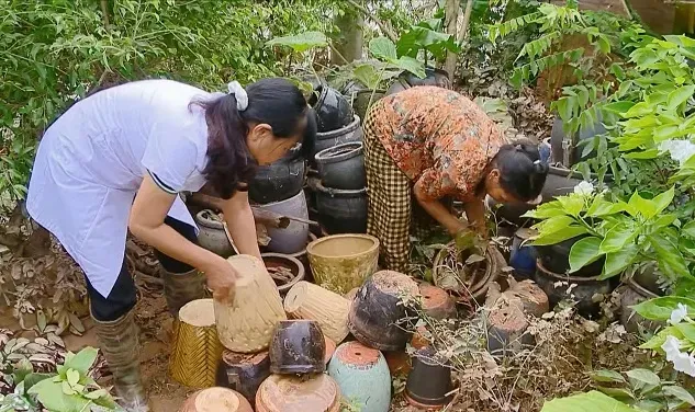 Hà Nội tập trung xử lý môi trường, phòng, chống dịch bệnh sau bão lũ, ngập lụt