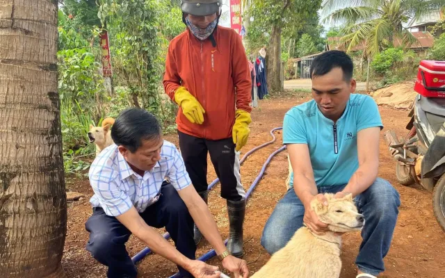 Người dân không nên chủ quan khi bị chó cắn, mèo cào