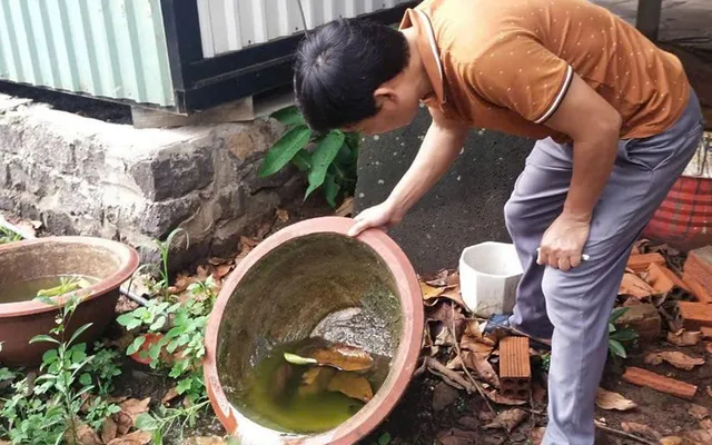 TP Hồ Chí Minh: Cảnh giác sốt xuất huyết mùa mưa