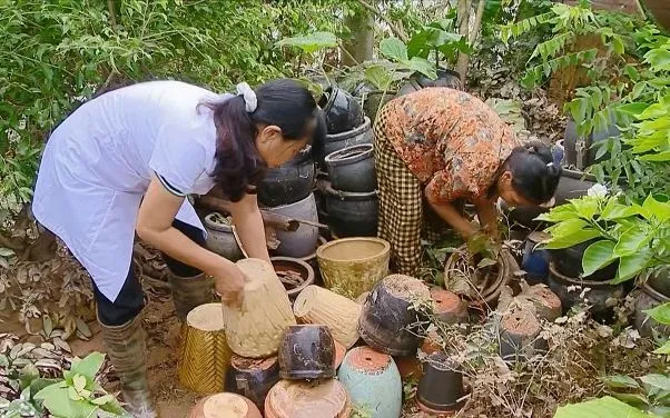 Cảnh báo nguy cơ dịch bệnh bùng phát sau mưa lũ, ngập úng