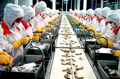 Vietnamese shrimp exports to decline in Q4